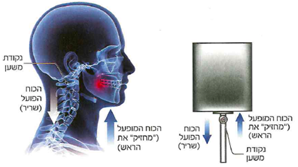 (בספר איור, היעזר במנחה)